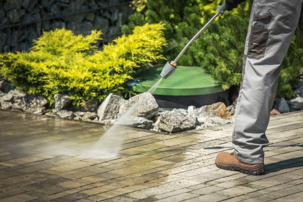 Best Oil Spill Cleanup  in North Cape May, NJ